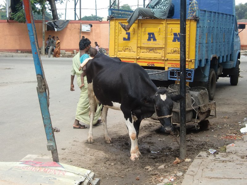 India Trip - July 2010 171.jpg